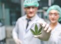 Navigating Cannabis Treatment in the UK: From Prescriptions to Clinics