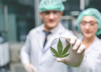 Navigating Cannabis Treatment in the UK: From Prescriptions to Clinics
