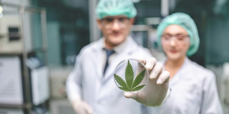 Navigating Cannabis Treatment in the UK: From Prescriptions to Clinics