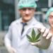 Navigating Cannabis Treatment in the UK: From Prescriptions to Clinics