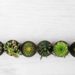 The Most Popular Types of Succulent Plants and How to Care for Them