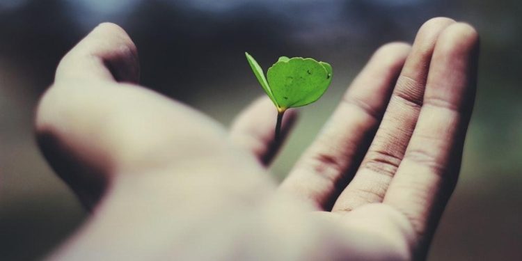 The green manufacturing processes that could create a more sustainable world