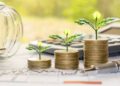 Sustainable Investing: How to Build an Eco-Friendly Investment Portfolio
