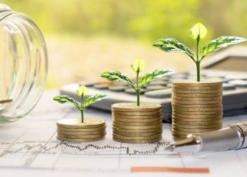 Sustainable Investing: How to Build an Eco-Friendly Investment Portfolio