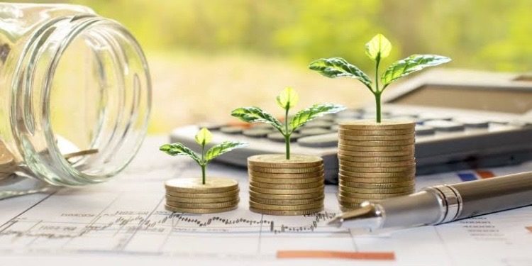 Sustainable Investing: How to Build an Eco-Friendly Investment Portfolio