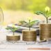 Sustainable Investing: How to Build an Eco-Friendly Investment Portfolio