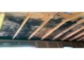 Common Myths About Mold: Separating Fact from Fiction