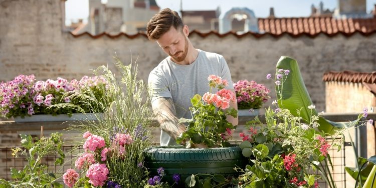 5 Gardening Affiliate Programs To Join in 2024