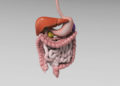 Gastrointestinal