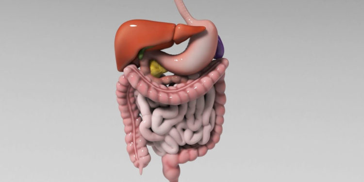 Gastrointestinal