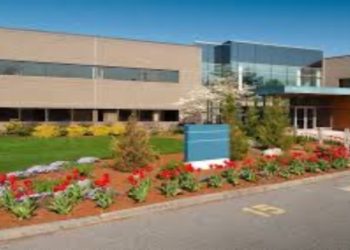 Key Characteristics and Responsibilities in the Modern Commercial Landscape