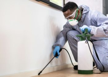 Pest Control Service in Enfield: Ensuring a Pest-Free Environment