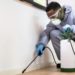 Pest Control Service in Enfield: Ensuring a Pest-Free Environment