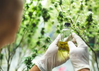 Full Spectrum CBD Oil: Your Ultimate Guide to Benefits and Uses in 2024
