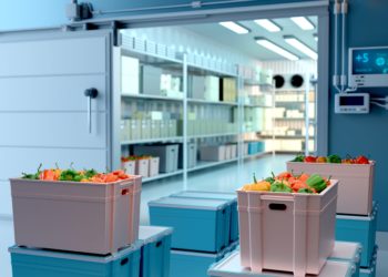Optimizing Freshness: Importance of Cold Rooms in the Food Industry