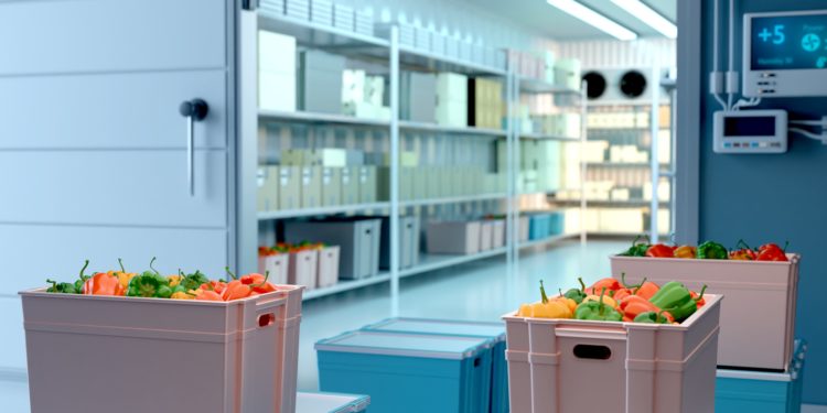 Optimizing Freshness: Importance of Cold Rooms in the Food Industry