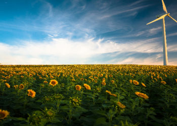 Green technology to create sustainable crypto mining