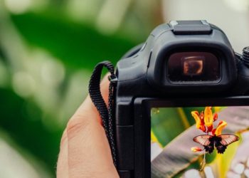 Hobbies That Can Also Be Side Hustles