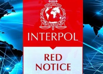 Legal Defence and Strategies Against Interpol’s Red Notice