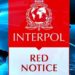 Legal Defence and Strategies Against Interpol’s Red Notice