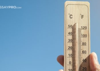 Dog Days of Summer Meme by EssayPro