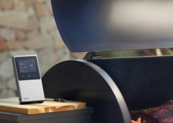 Choosing Your Perfect Smart Wireless Meat Thermometer: Buying Guide