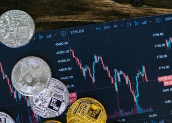 The Future of Online Casinos: What Digital Innovation Brings to the Table