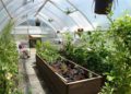 Green house