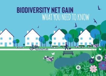 Understanding the Biodiversity Net Gain Metric for Better Planning