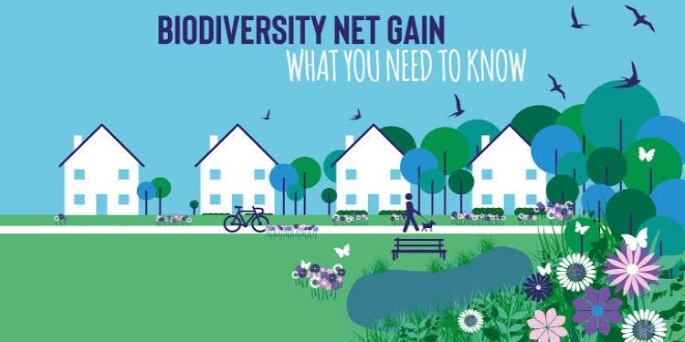 Understanding the Biodiversity Net Gain Metric for Better Planning