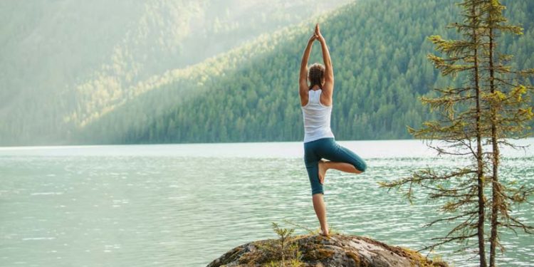 Maximizing Longevity: Is it possible to optimize your health?