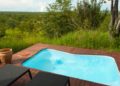 Creative Landscaping Ideas to Complement Your Gold Coast Plunge Pool