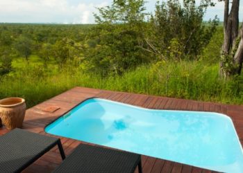 Creative Landscaping Ideas to Complement Your Gold Coast Plunge Pool