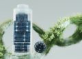 5 Ways to Boost Your Sustainability Policies in Business