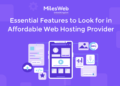 Web Hosting Provider