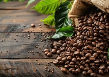 Organic Coffee vs Non-Organic: Health, Taste, and Sustainability Compared