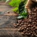 Organic Coffee vs Non-Organic: Health, Taste, and Sustainability Compared