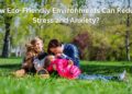 Stress and Anxiety