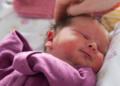 Surrogacy Journey