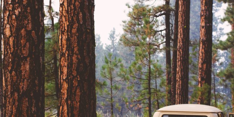 Reducing Holiday Emissions: New Ways to Travel Green