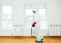 Pest Control: Key Strategies for a Bug-Free Home