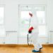 Pest Control: Key Strategies for a Bug-Free Home