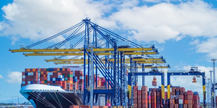 Import Duties Demystified: Empowering Your Business