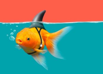 How communication tools can make your small business look bigger