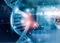 The Rise of Bioinformatics in Personalized Business Solutions