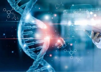 The Rise of Bioinformatics in Personalized Business Solutions