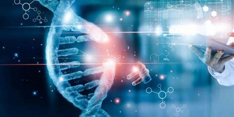 The Rise of Bioinformatics in Personalized Business Solutions