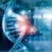 The Rise of Bioinformatics in Personalized Business Solutions