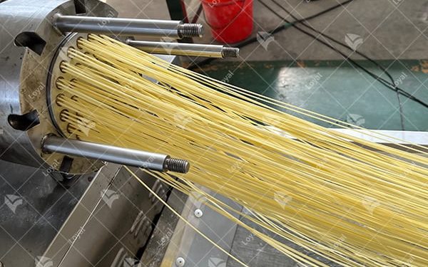 Pasta Business