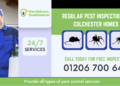 Pest Inspections